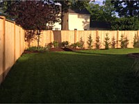 <b>Vertical Board Wood Privacy Fence with New England Caps and Fascia Board top and bottom</b>